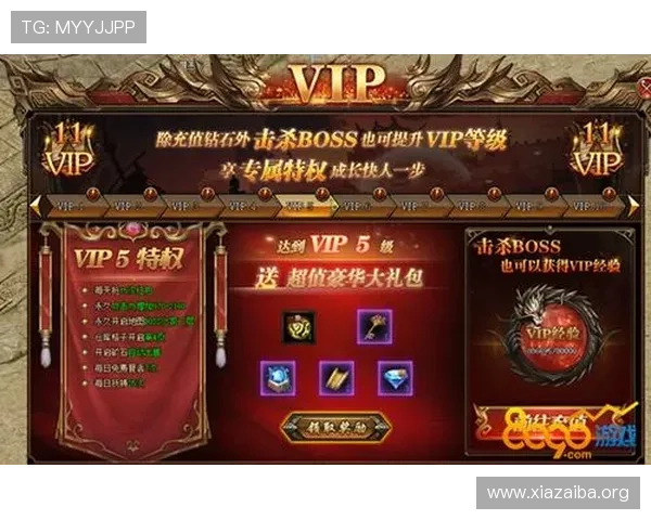 澳门银河官网网址VIP特权介绍，享受专属福利提升游戏体验