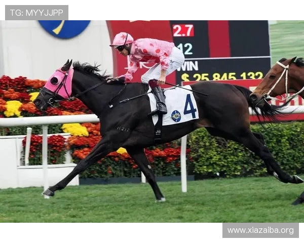 hkjc app正规官网:香港赛马会官方应用的最新版本更新内容与功能介绍