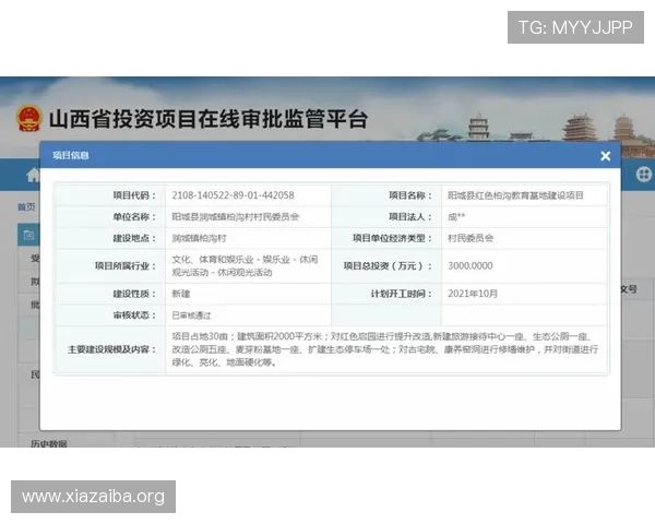 大阳城地址平台安全登录入口地址推荐及常见登录问题解决方案